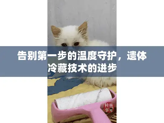 告别第一步的温度守护,遗体冷藏技术的进步 告别第一步的温度守护,遗体冷藏技术的进步