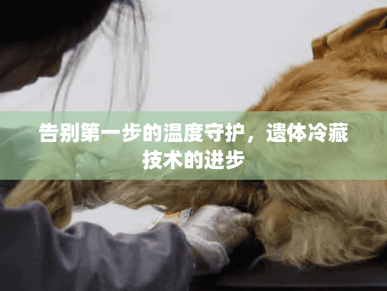 告别第一步的温度守护,遗体冷藏技术的进步 告别第一步的温度守护,遗体冷藏技术的进步