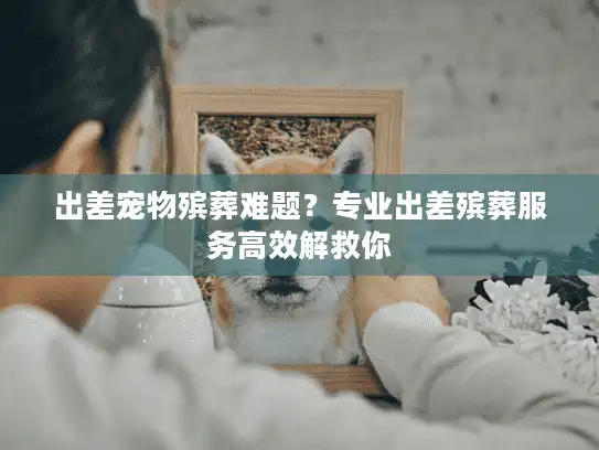 出差宠物殡葬难题?专业出差殡葬服务高效解救你 出差宠物殡葬难题?专业出差殡葬服务高效解救你