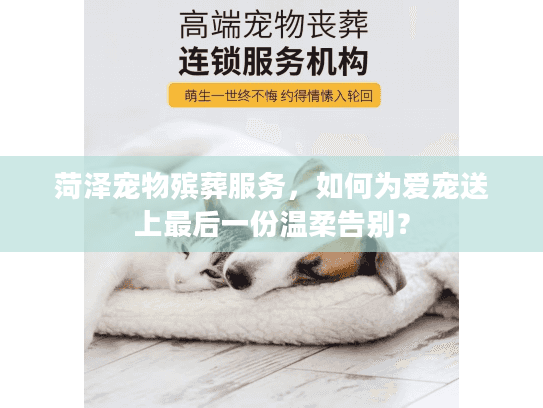 菏泽宠物殡葬服务,如何为爱宠送上最后一份温柔告别? 菏泽宠物殡葬服务,如何为爱宠送上最后一份温柔告别?