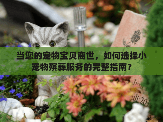 当您的宠物宝贝离世，如何选择小宠物殡葬服务的完整指南？