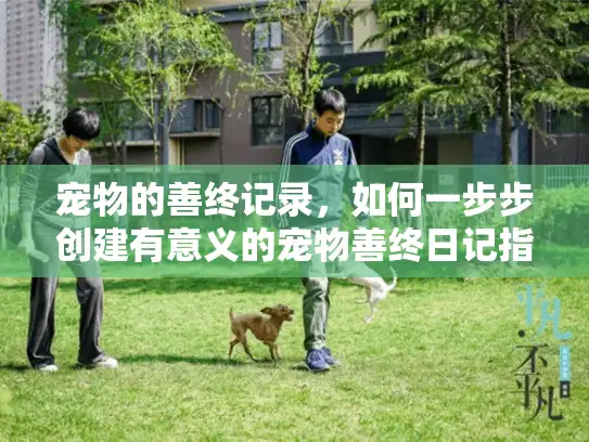 宠物的善终记录，如何一步步创建有意义的宠物善终日记指南