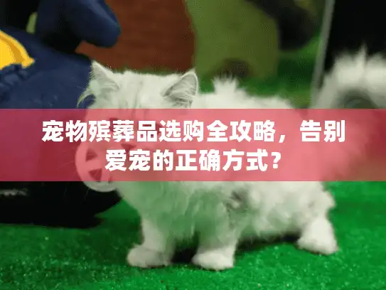 宠物殡葬品选购全攻略，告别爱宠的正确方式？