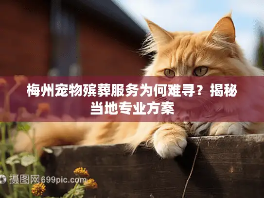 梅州宠物殡葬服务为何难寻？揭秘当地专业方案