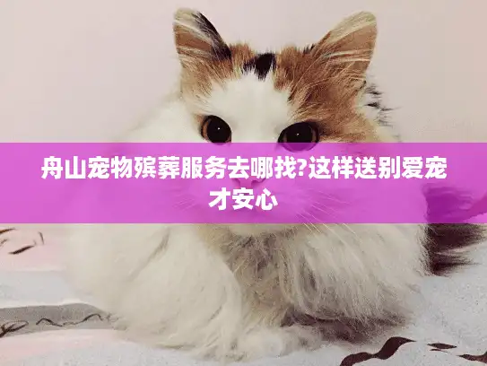 舟山宠物殡葬服务去哪找?这样送别爱宠才安心 舟山宠物殡葬服务去哪找?这样送别爱宠才安心