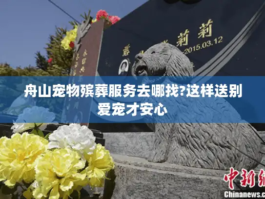 舟山宠物殡葬服务去哪找?这样送别爱宠才安心 舟山宠物殡葬服务去哪找?这样送别爱宠才安心
