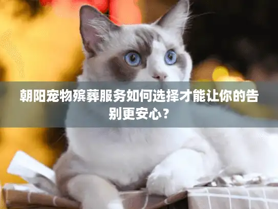 朝阳宠物殡葬服务如何选择才能让你的告别更安心？