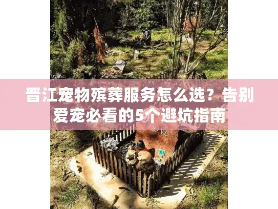 晋江宠物殡葬服务怎么选？告别爱宠必看的5个避坑指南