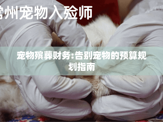 宠物殡葬财务:告别宠物的预算规划指南 宠物殡葬财务:告别宠物的预算规划指南