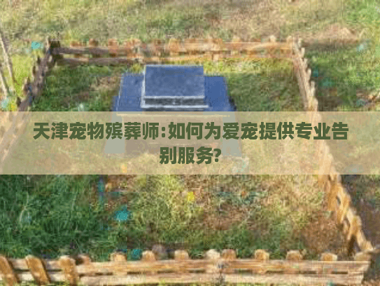 天津宠物殡葬师:如何为爱宠提供专业告别服务?