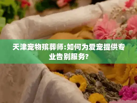 天津宠物殡葬师:如何为爱宠提供专业告别服务?