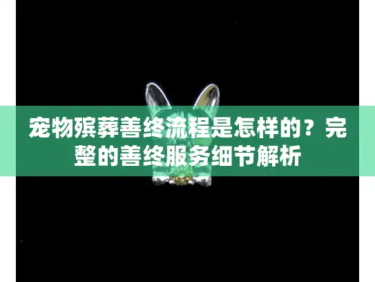宠物殡葬善终流程是怎样的？完整的善终服务细节解析