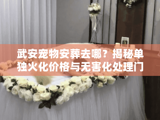 武安宠物安葬去哪？揭秘单独火化价格与无害化处理门道