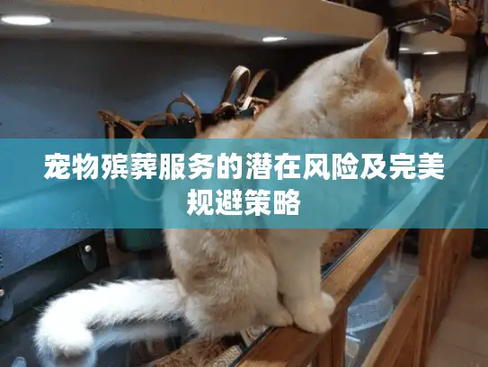 宠物殡葬服务的潜在风险及完美规避策略 宠物殡葬服务的潜在风险及完美规避策略