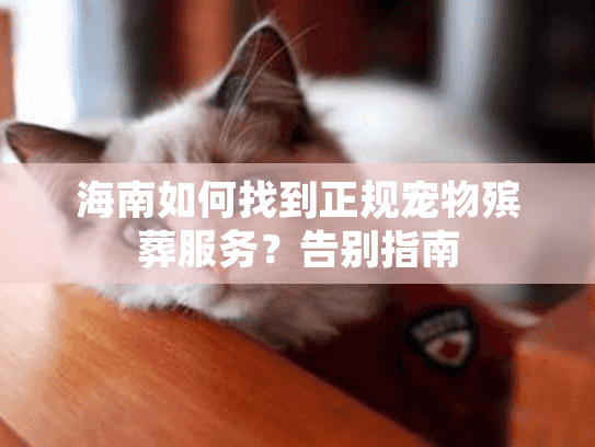 海南如何找到正规宠物殡葬服务？告别指南