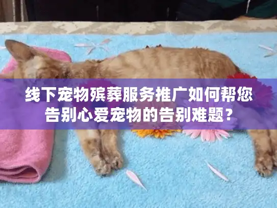 线下宠物殡葬服务推广如何帮您告别心爱宠物的告别难题？