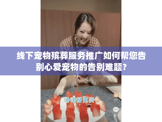 线下宠物殡葬服务推广如何帮您告别心爱宠物的告别难题？