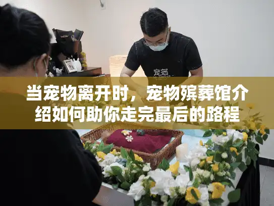 当宠物离开时，宠物殡葬馆介绍如何助你走完最后的路程