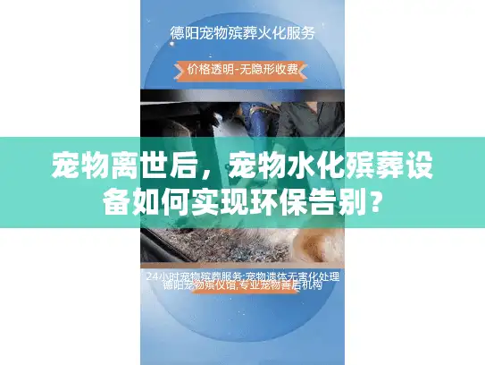 宠物离世后，宠物水化殡葬设备如何实现环保告别？