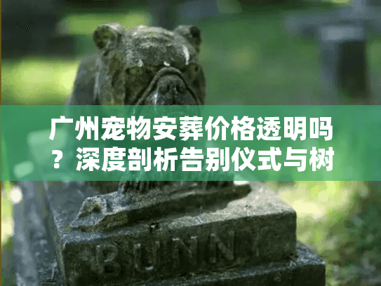广州宠物安葬价格透明吗？深度剖析告别仪式与树葬避坑门道