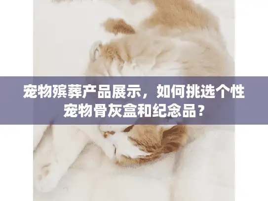 宠物殡葬产品展示，如何挑选个性宠物骨灰盒和纪念品？