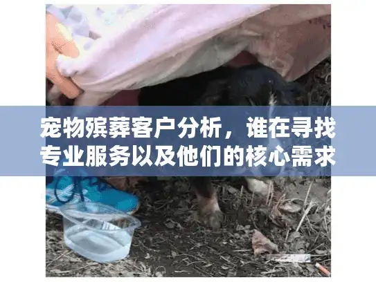 宠物殡葬客户分析，谁在寻找专业服务以及他们的核心需求是什么？