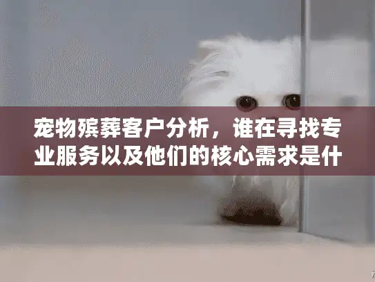 宠物殡葬客户分析，谁在寻找专业服务以及他们的核心需求是什么？
