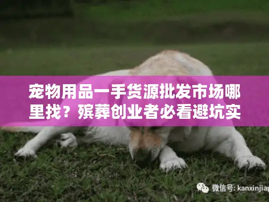 宠物用品一手货源批发市场哪里找？殡葬创业者必看避坑实录