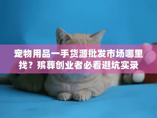 宠物用品一手货源批发市场哪里找？殡葬创业者必看避坑实录