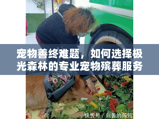 宠物善终难题，如何选择极光森林的专业宠物殡葬服务？