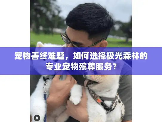 宠物善终难题，如何选择极光森林的专业宠物殡葬服务？
