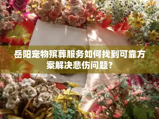 岳阳宠物殡葬服务如何找到可靠方案解决悲伤问题？