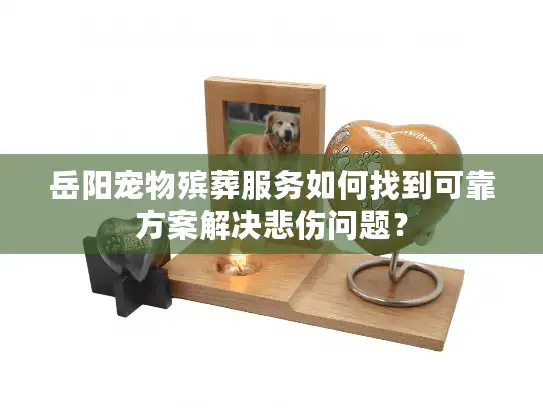 岳阳宠物殡葬服务如何找到可靠方案解决悲伤问题？