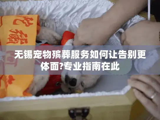 无锡宠物殡葬服务如何让告别更体面?专业指南在此