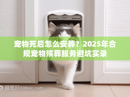 宠物死后怎么安葬？2025年合规宠物殡葬服务避坑实录