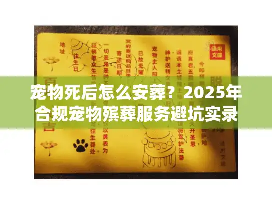 宠物死后怎么安葬？2025年合规宠物殡葬服务避坑实录