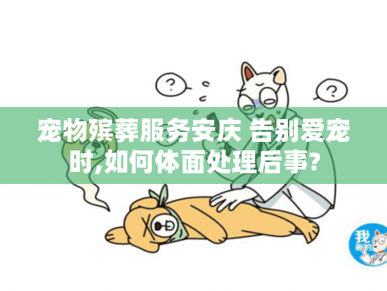 宠物殡葬服务安庆 告别爱宠时,如何体面处理后事?