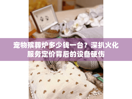 宠物殡葬炉多少钱一台？深扒火化服务定价背后的设备硬伤