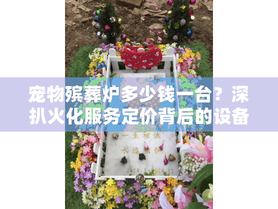 宠物殡葬炉多少钱一台？深扒火化服务定价背后的设备硬伤
