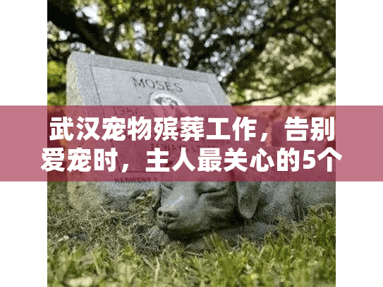 武汉宠物殡葬工作，告别爱宠时，主人最关心的5个难题