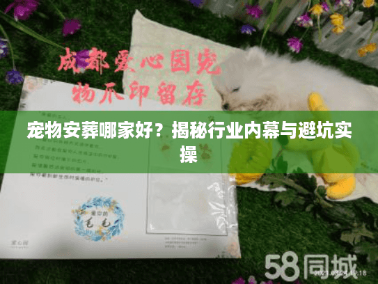 宠物安葬哪家好？揭秘行业内幕与避坑实操