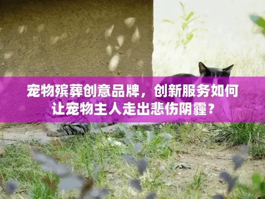 宠物殡葬创意品牌,创新服务如何让宠物主人走出悲伤阴霾? 宠物殡葬创意品牌,创新服务如何让宠物主人走出悲伤阴霾?