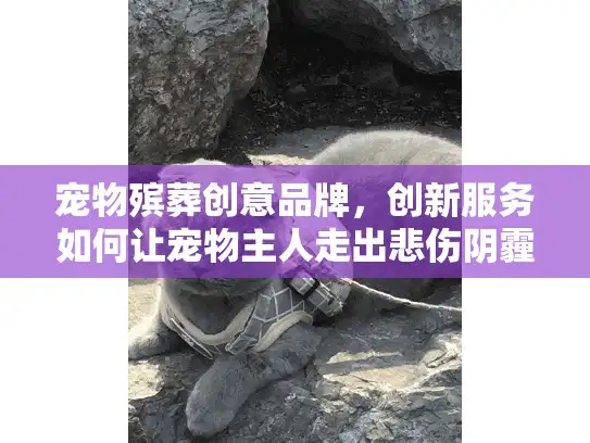 宠物殡葬创意品牌,创新服务如何让宠物主人走出悲伤阴霾? 宠物殡葬创意品牌,创新服务如何让宠物主人走出悲伤阴霾?