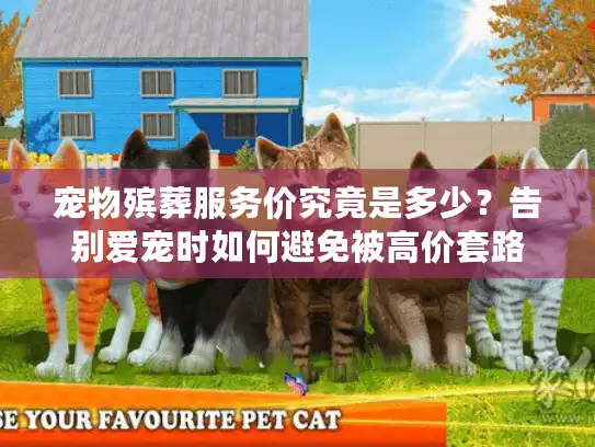 宠物殡葬服务价究竟是多少？告别爱宠时如何避免被高价套路