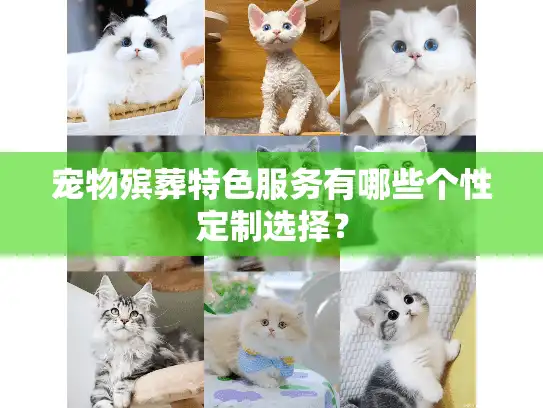 宠物殡葬特色服务有哪些个性定制选择? 宠物殡葬特色服务有哪些个性定制选择?