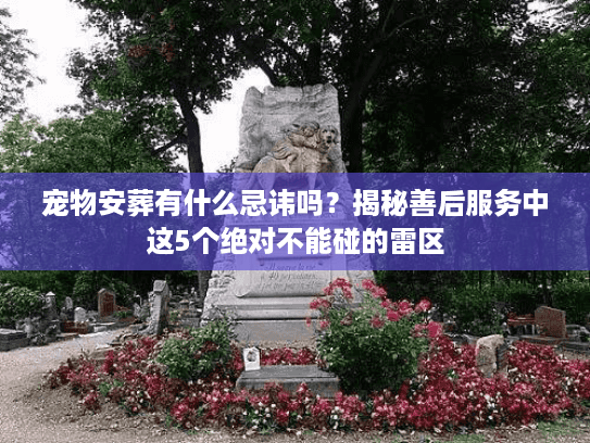 宠物安葬有什么忌讳吗？揭秘善后服务中这5个绝对不能碰的雷区