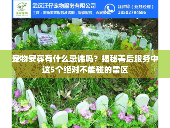 宠物安葬有什么忌讳吗？揭秘善后服务中这5个绝对不能碰的雷区