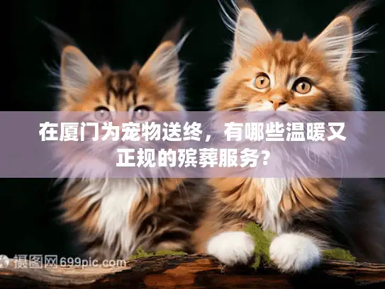 在厦门为宠物送终，有哪些温暖又正规的殡葬服务？