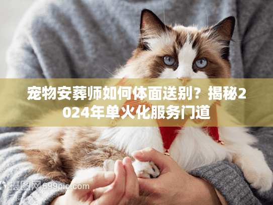宠物安葬师如何体面送别？揭秘2024年单火化服务门道