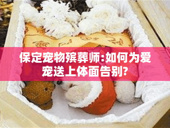 保定宠物殡葬师:如何为爱宠送上体面告别? 保定宠物殡葬师:如何为爱宠送上体面告别?
